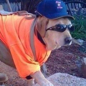 Meet your Posher, Helbert